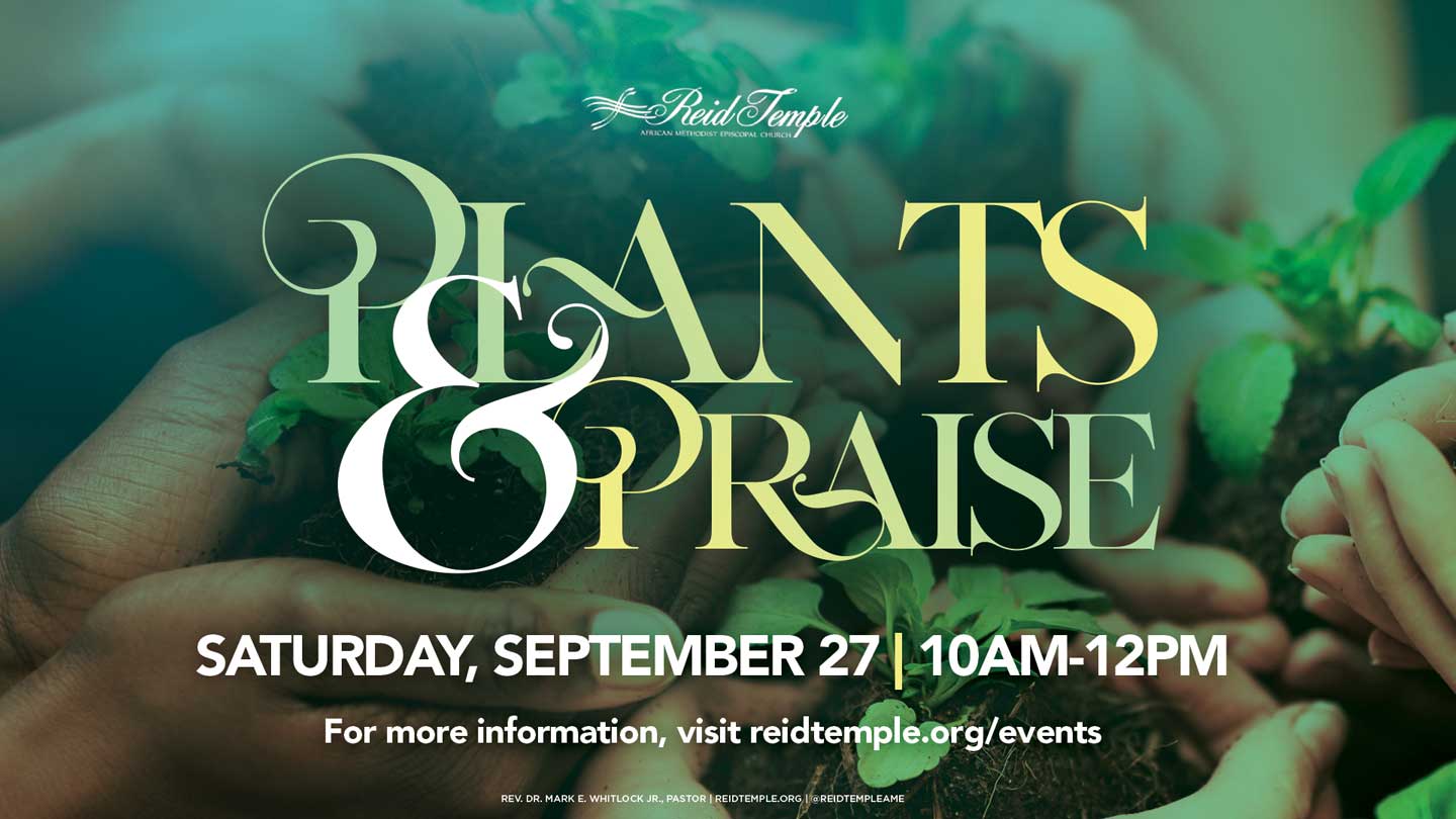 plantspraise1920x1080opt