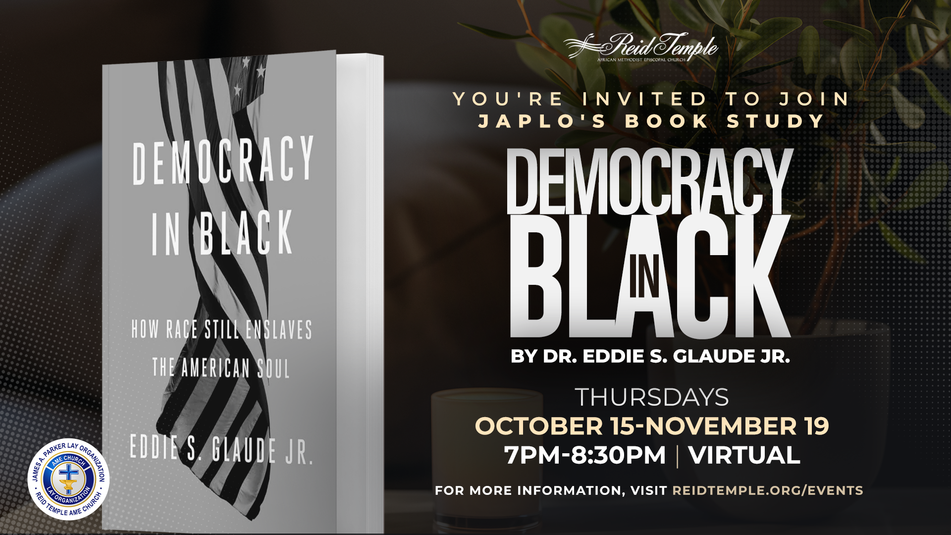 japlo_democracyblack_study1920x1080